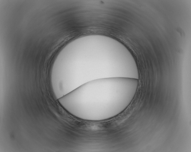 X0000114200254200910091054