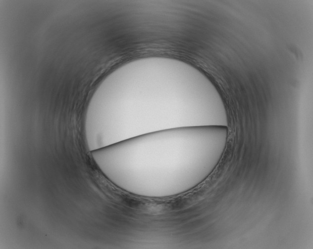 X0000114200255200910091054