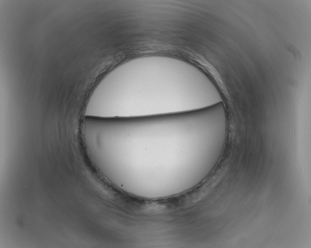 X0000114200257200910091054