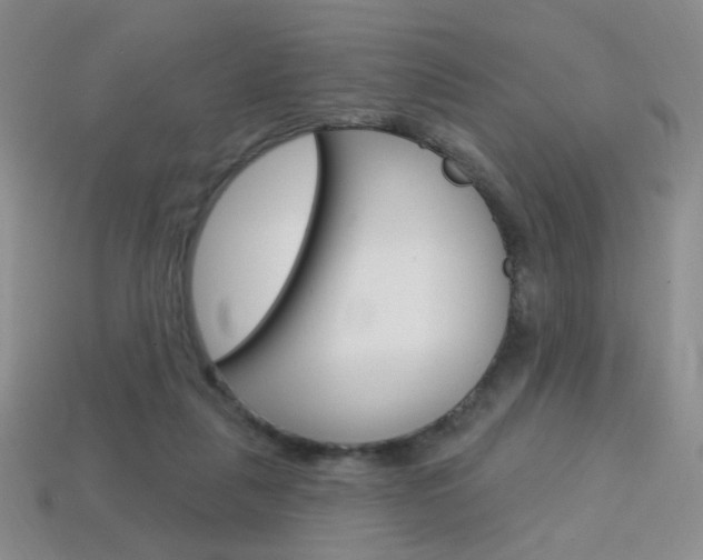 X0000114200259200910091054