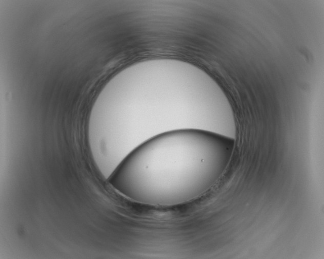 X0000114200260200910091054