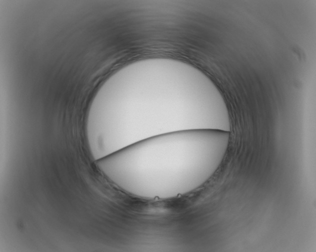 X0000114200262200910091054
