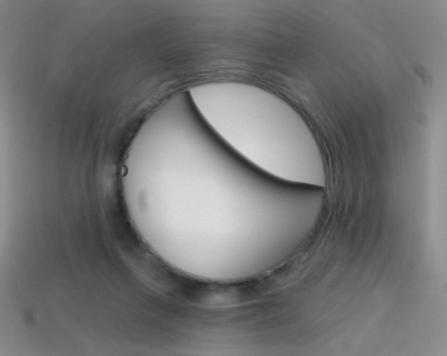 X0000114200263200910091054