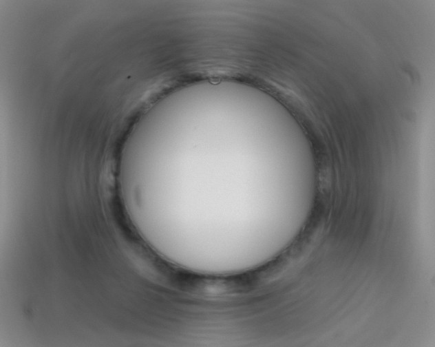 X0000114200264200910091054