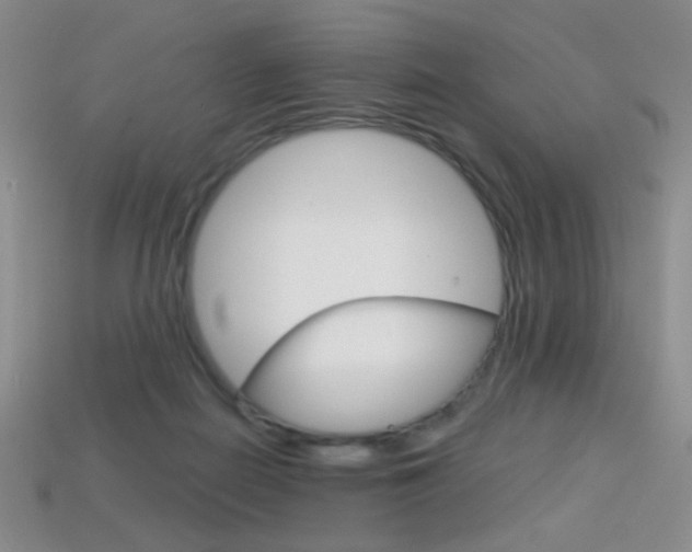 X0000114200266200910091054