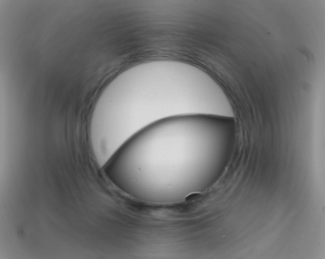 X0000114200268200910091054