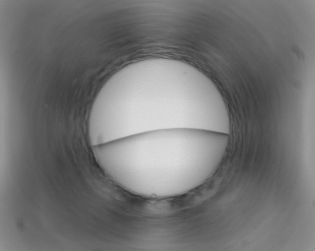 X0000114200271200910091054