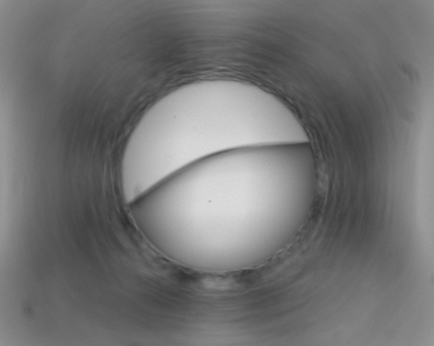 X0000114200272200910091054