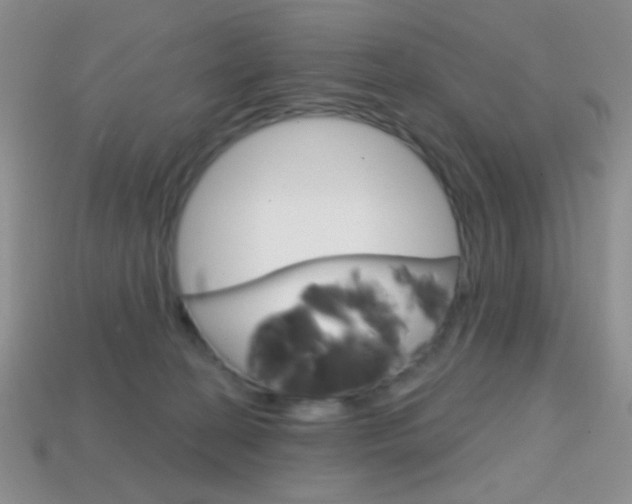 X0000114200274200910091055