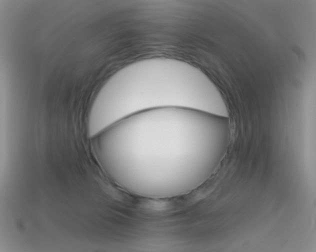 X0000114200276200910091055