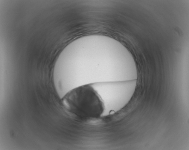 X0000114200278200910091055