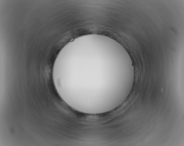 X0000114200279200910091055