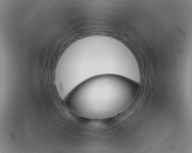 X0000114200280200910091055