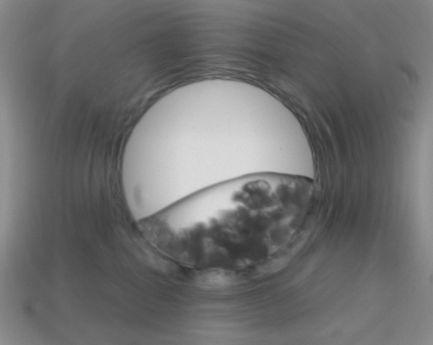 X0000114200282200910091055