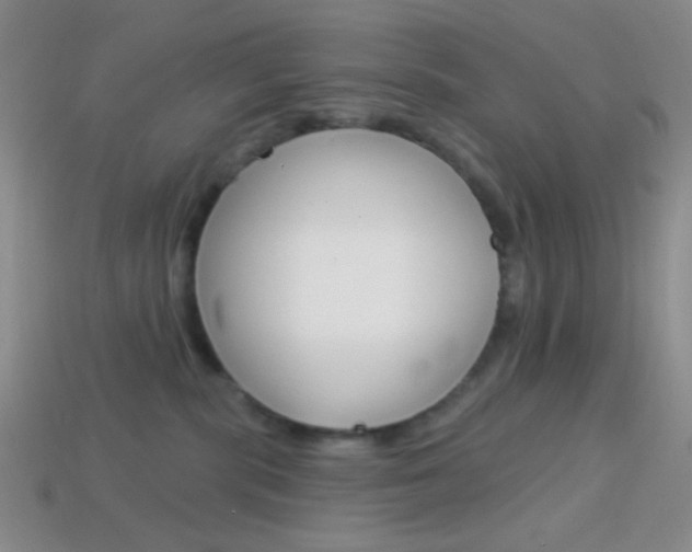 X0000114200283200910091055