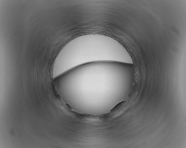 X0000114200284200910091055