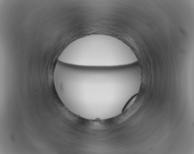X0000114200285200910091055