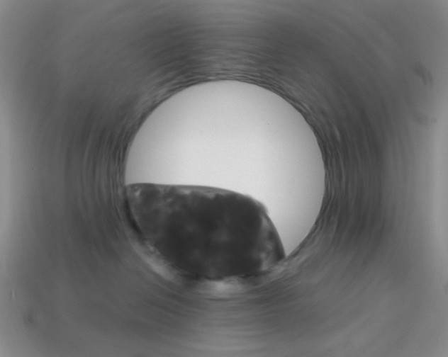 X0000114200286200910091055