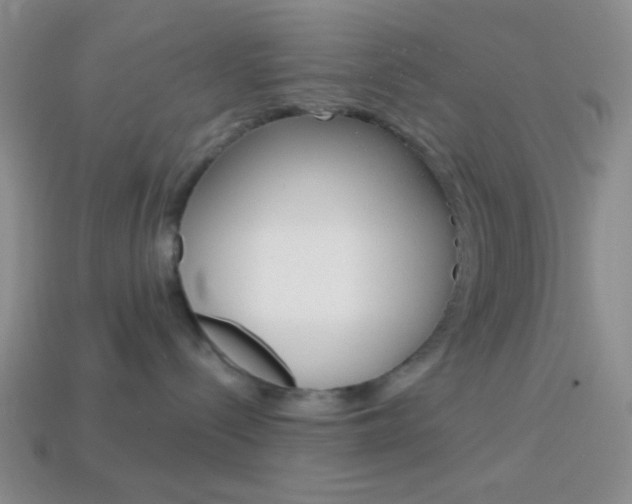 X0000114200288200910091055