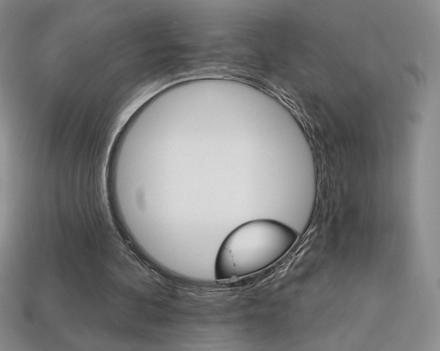 X0000114200292200910091054