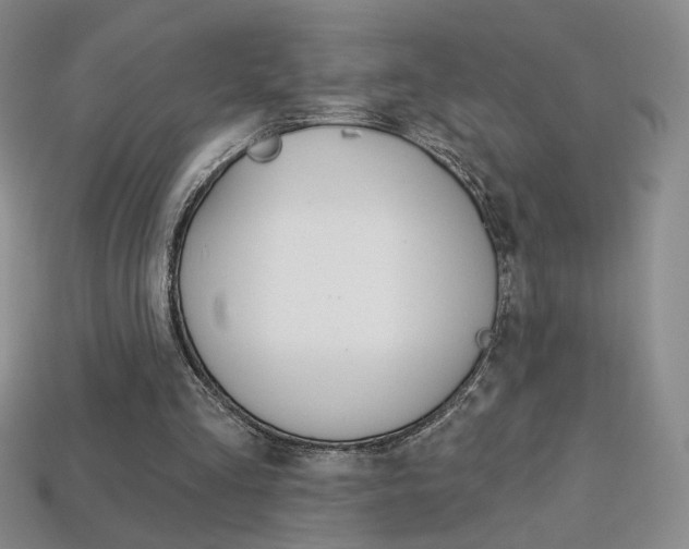 X0000114200293200910091054