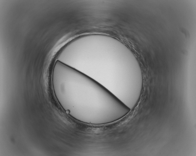 X0000114200295200910091054