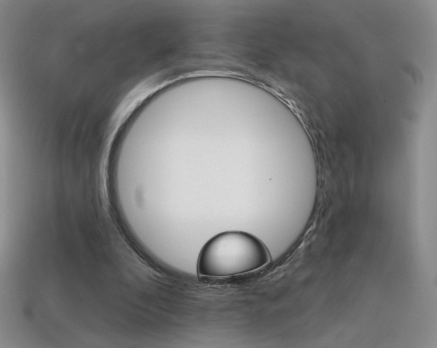 X0000114200296200910091054