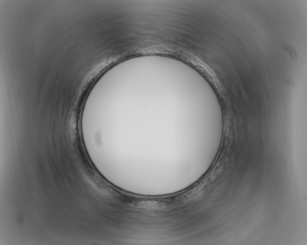 X0000114200298200910091054