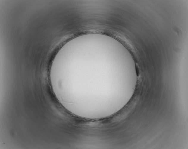X0000114200306200910091054