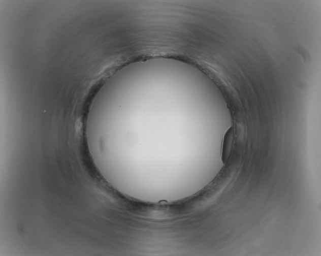 X0000114200308200910091054