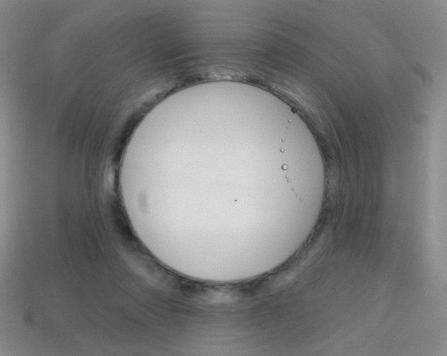 X0000114200310200910091054