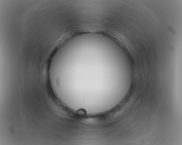 X0000114200312200910091054