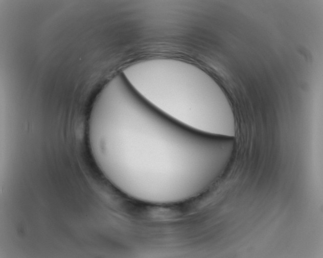 X0000114200315200910091054