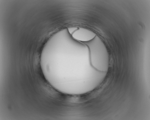 X0000114200318200910091054