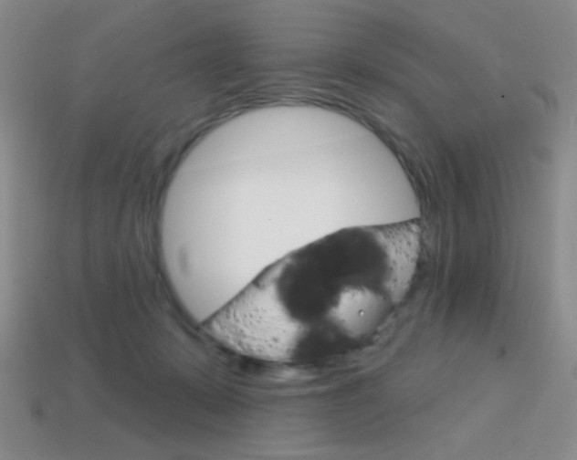 X0000114200319200910091054