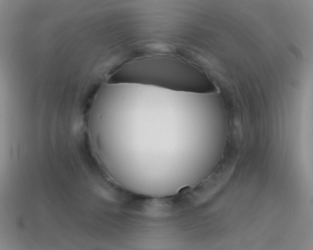 X0000114200320200910091054
