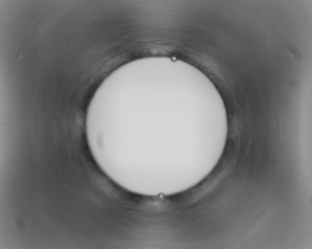 X0000114200321200910091053