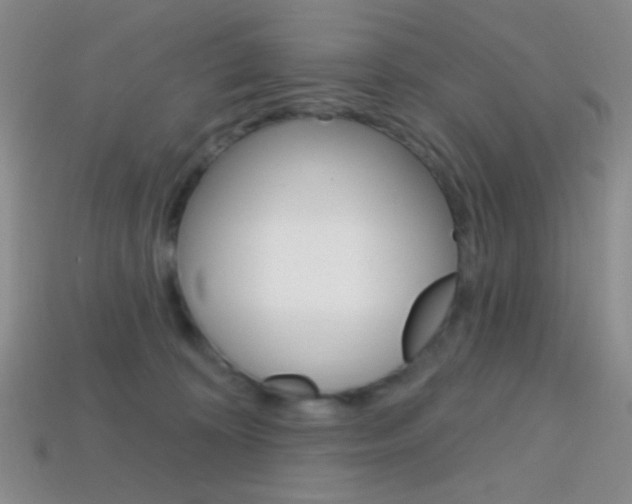 X0000114200324200910091053