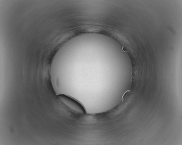 X0000114200325200910091053