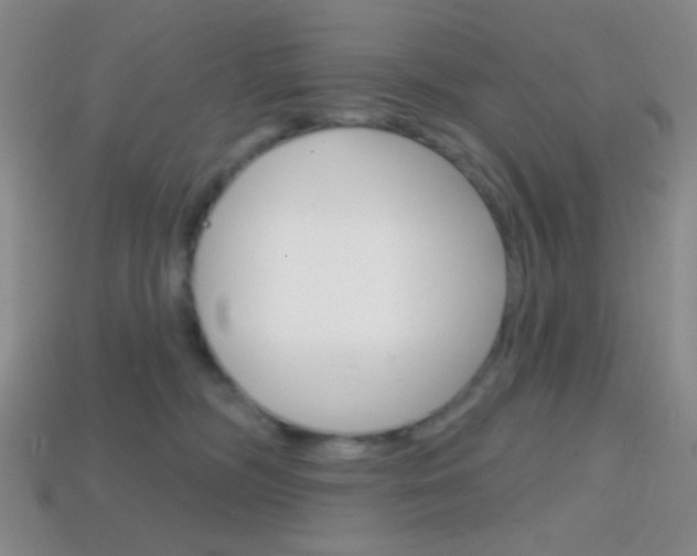 X0000114200326200910091053