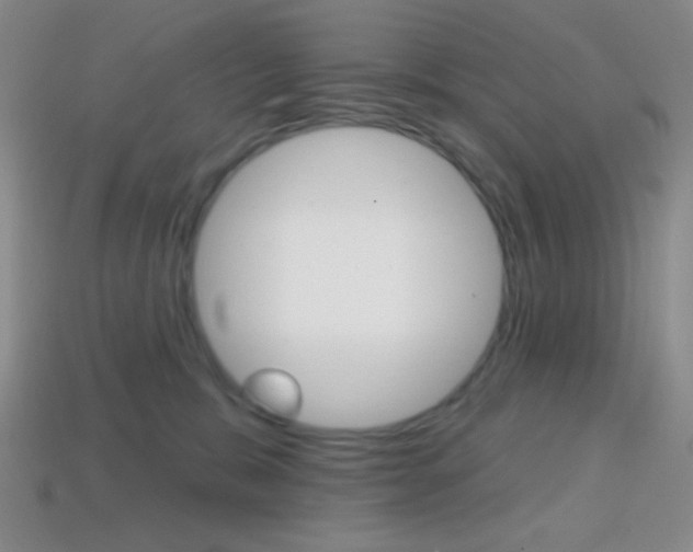 X0000114200327200910091053