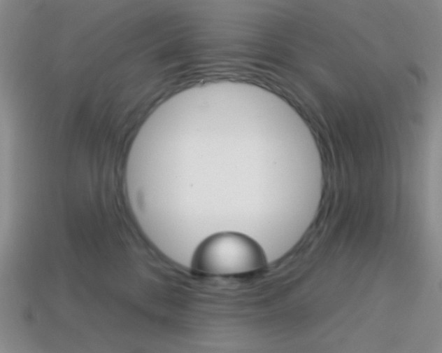 X0000114200328200910091053