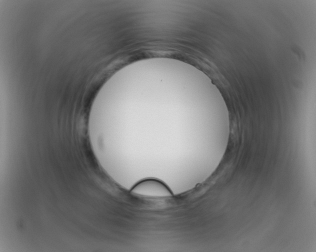 X0000114200330200910091053