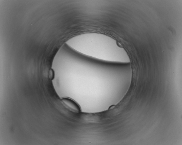X0000114200331200910091053