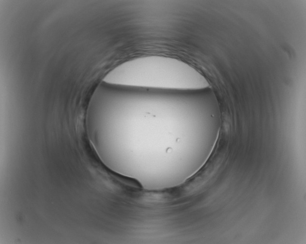 X0000114200332200910091053