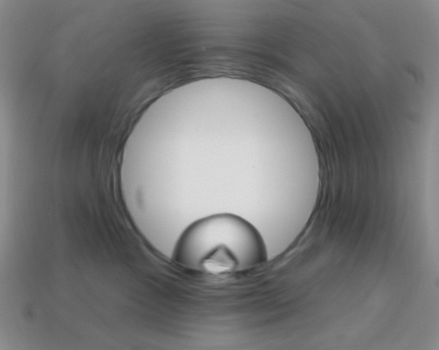 X0000114200333200910091053
