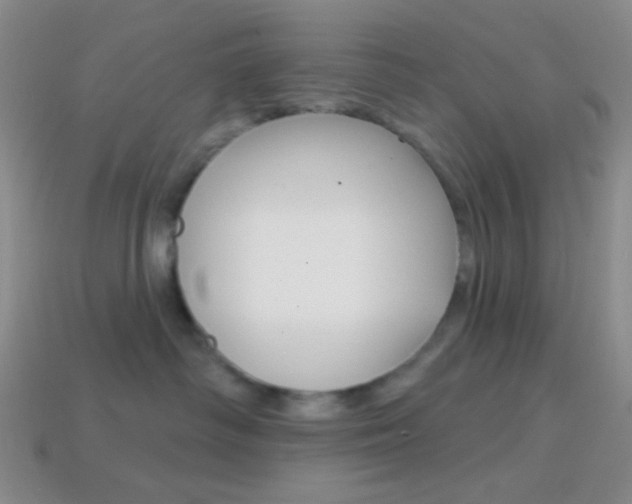 X0000114200334200910091053