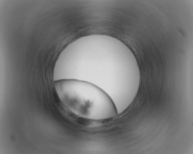 X0000114200335200910091053