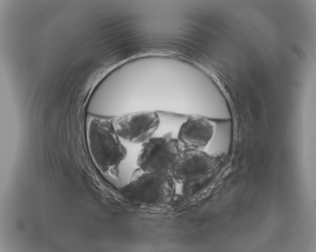 X0000114200337200910091053