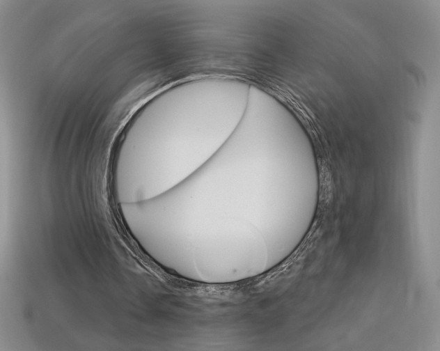 X0000114200338200910091053